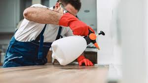 Emergency Pest Control Services in Zephyrhills South, FL